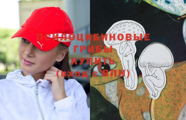 прущая мука Абаза
