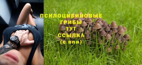 прущая мука Абаза