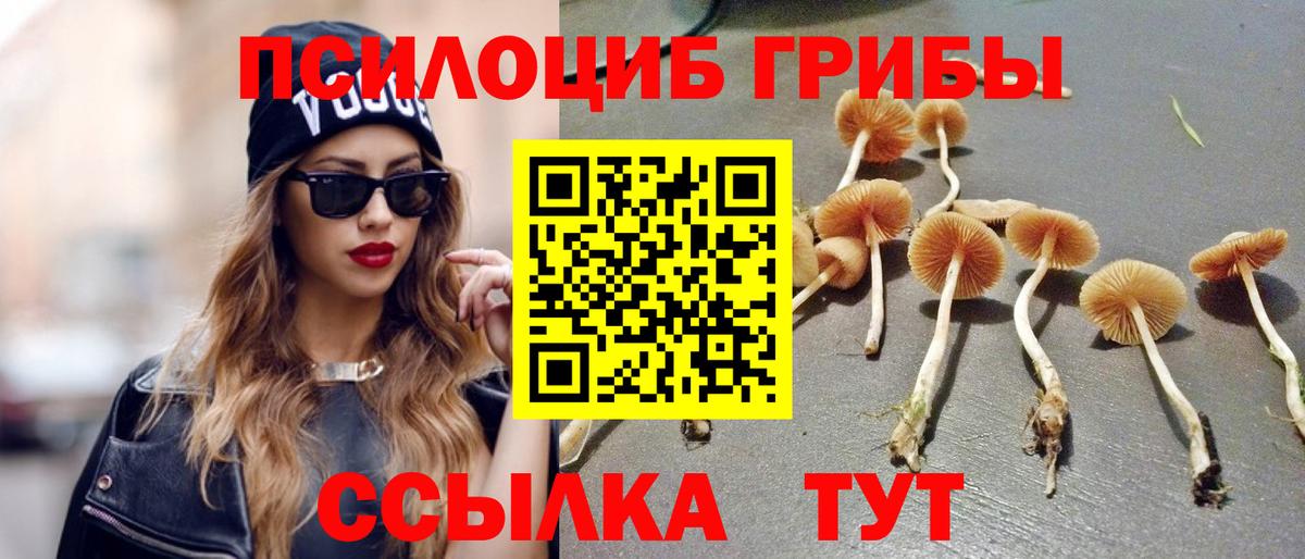 Псилоцибиновые грибы Cubensis Зерноград