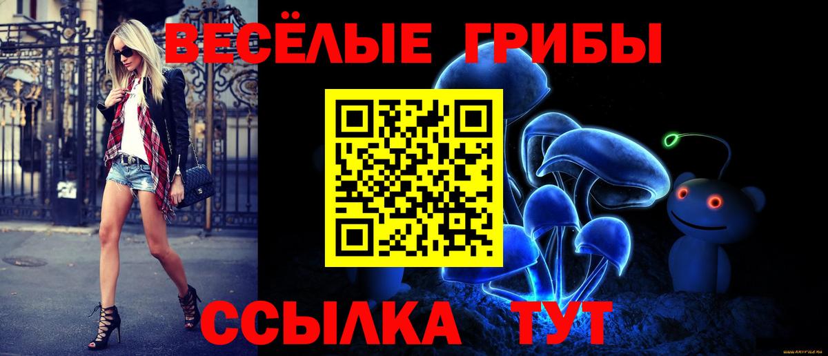 Псилоцибиновые грибы Magic Shrooms  Псилоцибиновые грибы Magic Shrooms  Вход с VPN  Зерноград 